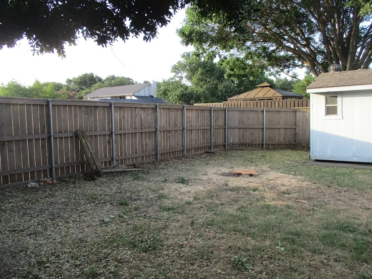 Cleared yard after professional tree removal in Red Bank